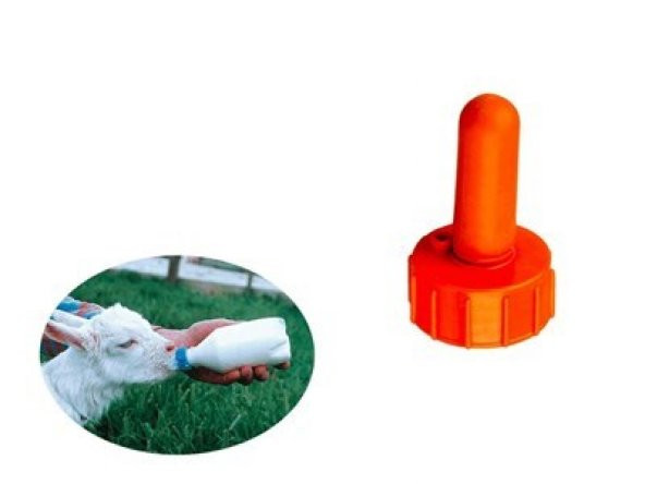 Pet Şişe ve Biberon Lüks Emzik ve Kapak 5 Adet - 3
