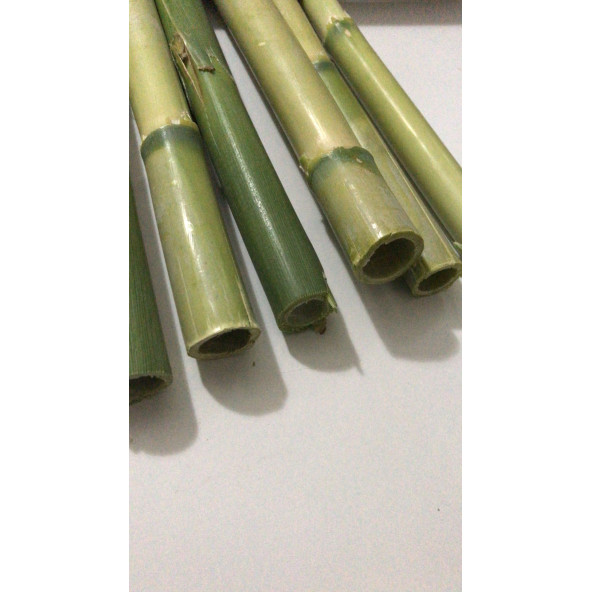 Kargı 50 cm'lik Dekorasyon Malzemesi - 2
