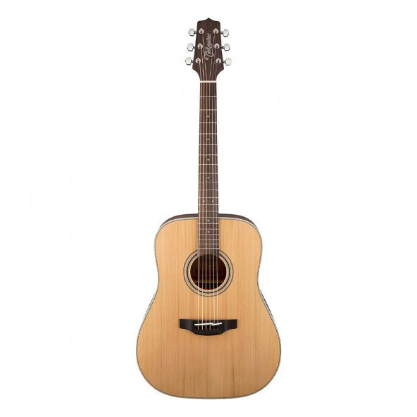 Takamine GD20-NS Akustik Gitar (KILIF+ASKI+PENA)