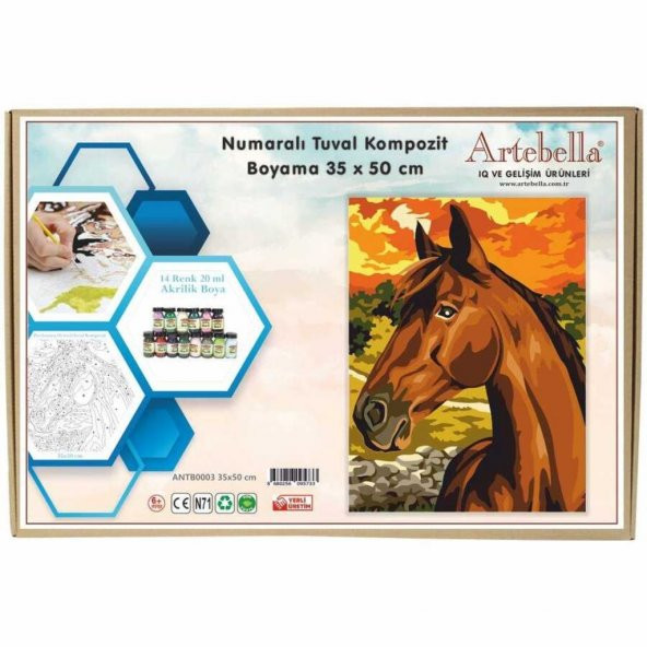Artebella 35x50 Numaralı Kompozit Tuval Boyama At ANTB0003
