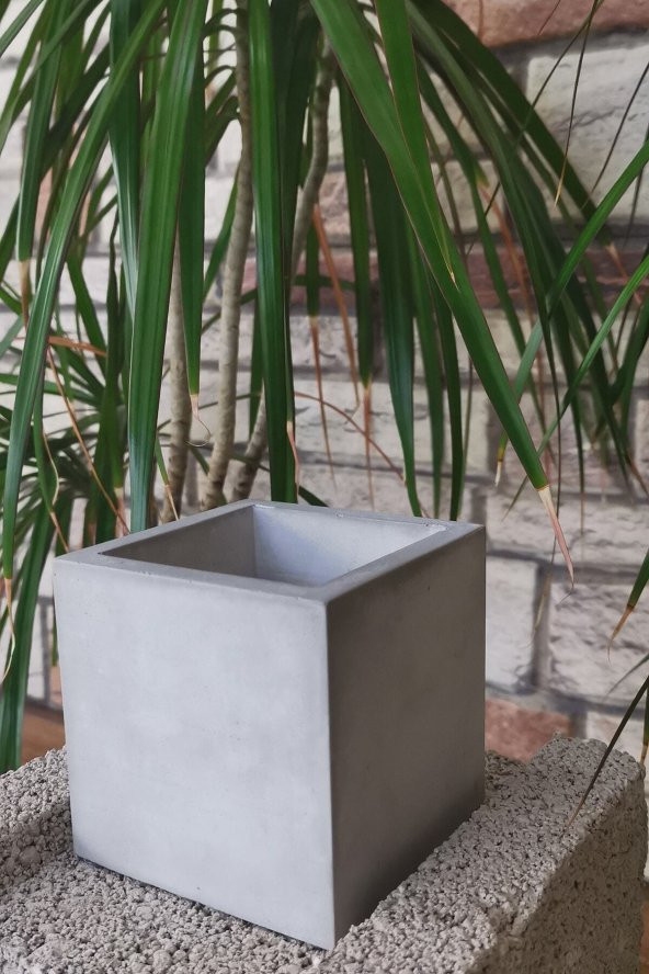 Dekoratif Beton Saksı Doğal Beton Rengi - 3