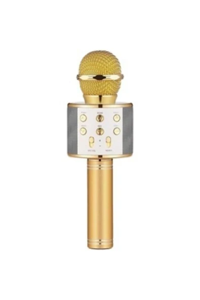 BUL-KAR İNOVASYON Polygold Ws-858 Karaoke Mikrofon