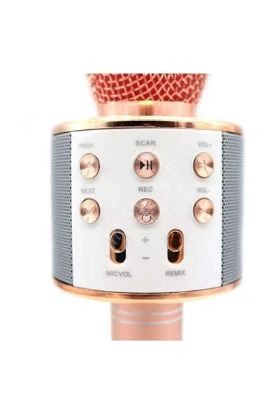 POLYGOLD Ws-858 Karaoke Bluetooth Kablosuz Mikrofon Hoparlör Ses Kayıt - 2