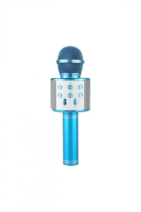 Polygold Ws-858 Karaoke Mikrofon Silver-siyah