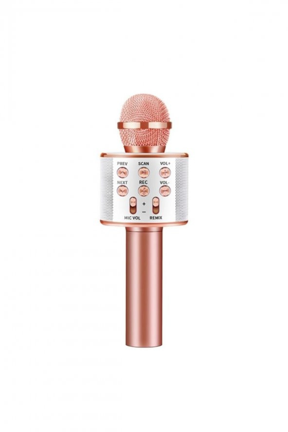 Concord Türkçe Yüksek Kalite Karaoke Mikrofon Hoparlör (C-8500) - Rose Gold