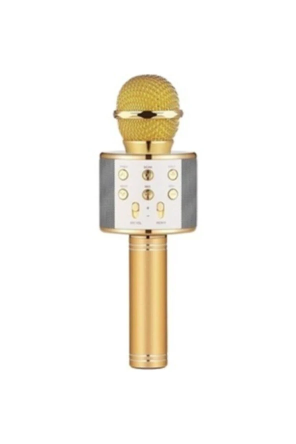 Polygold Ws-858 Karaoke Mikrofon Silver-siyah