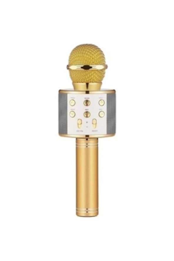Polygold Ws-858 Karaoke Mikrofon