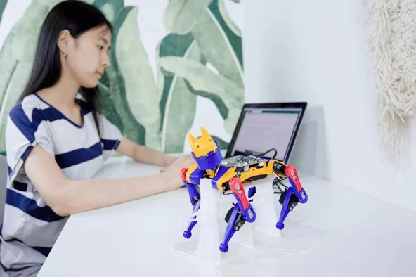 Petoi Robot Köpek Bittle X (Önceden Monte Edilmiş) Robotik Kiti - 3