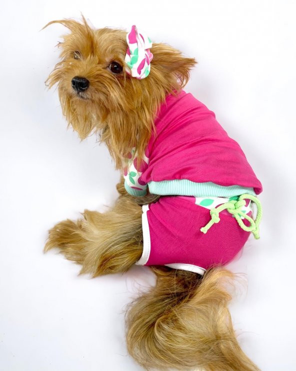 Fruit Party Tişört ve İç Çamaşırı Set Köpek Kıyafeti Köpek Kostümü