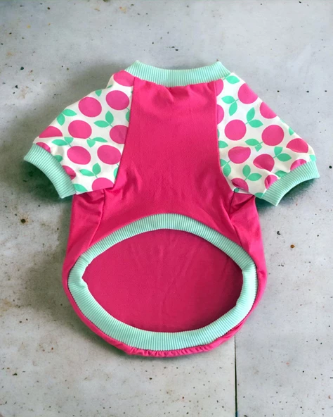 Fruit Party Oval Yaka Tişört Köpek Kıyafeti - 2