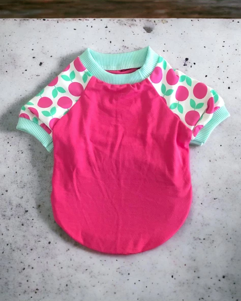 Fruit Party Oval Yaka Tişört Köpek Kıyafeti - 3