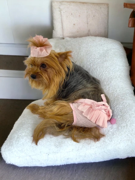 Rosie Rose Kemique's Secret Köpek İç Çamaşırı Regl Külot Don - 7