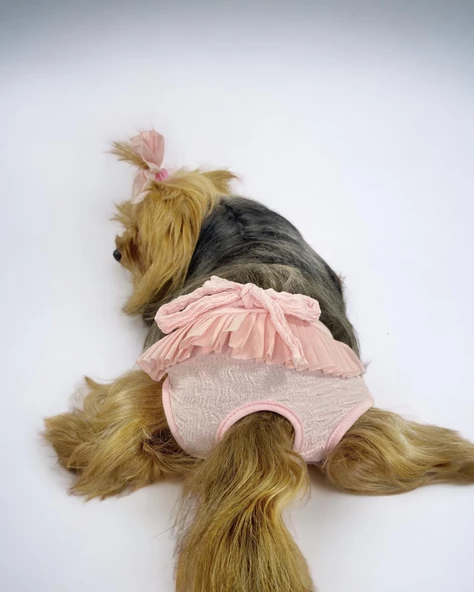 Rosie Rose Kemique's Secret Köpek İç Çamaşırı Regl Külot Don - 2