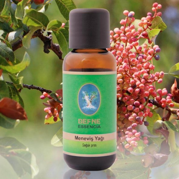Meneviş (Çitlembik) Yağı - 30ml - Nuka