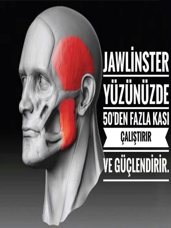 Çene Egzersiz Topu 3lü Set Başlangıç - Orta Ve Zor Ball Set Çene Kası, - Resim 2