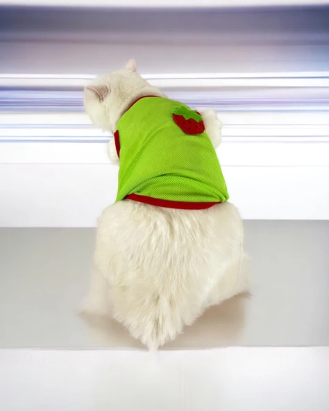 Pink Strawberry Atlet Kedi Kıyafeti Kedi Elbisesi - 9