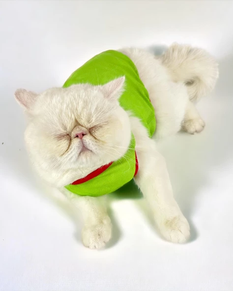 Pink Strawberry Atlet Kedi Kıyafeti Kedi Elbisesi - 5