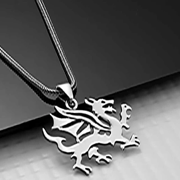 Lucky Life 925 Ayar Gumuss Ejderha Erkek Kolye