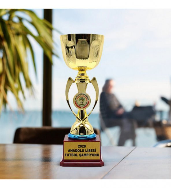 Kişiye Özel Başarı Ödül Kupası 26 cm HK2721 ürün görseli