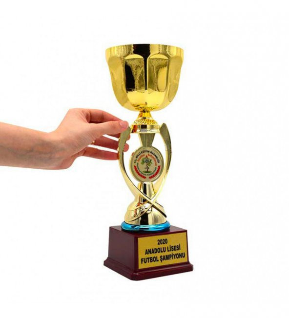 Kişiye Özel Başarı Ödül Kupası 26 cm HK2721 - Resim 2