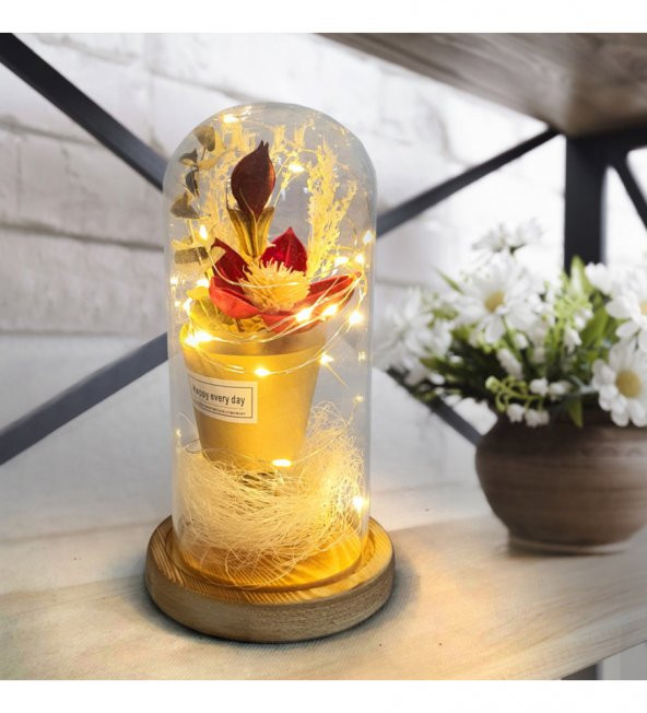 Kırmızı Aşk Çiceği Sevgiliye Hediye Işıklı Fanus HK2717 ürün görseli