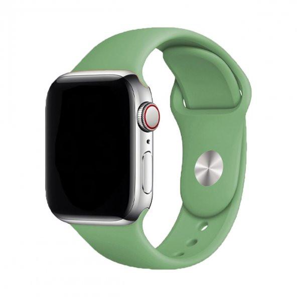 E2M CLASSIC SİLİKON APPLE WATCH KORDON 38-40-41MM YEŞİL