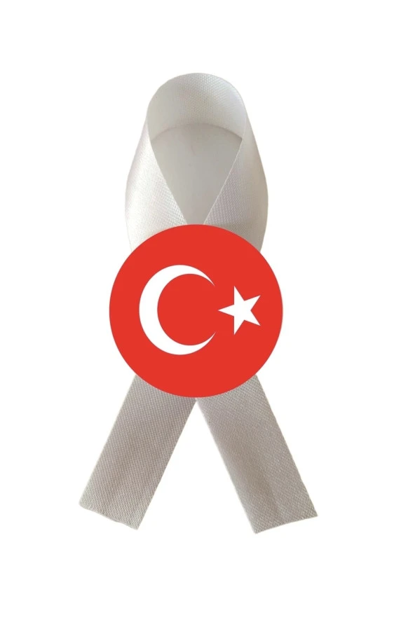 yıldızkurdelaankara FİYONK SATEN KURDELA ARKASI İĞNELİ BOŞ 10 ADET