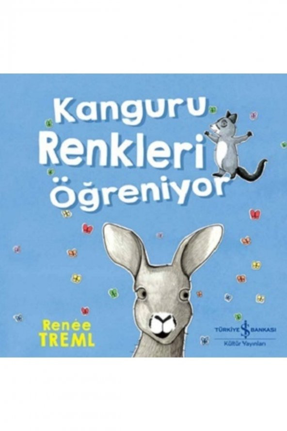 Kanguru Renkleri Öğreniyor