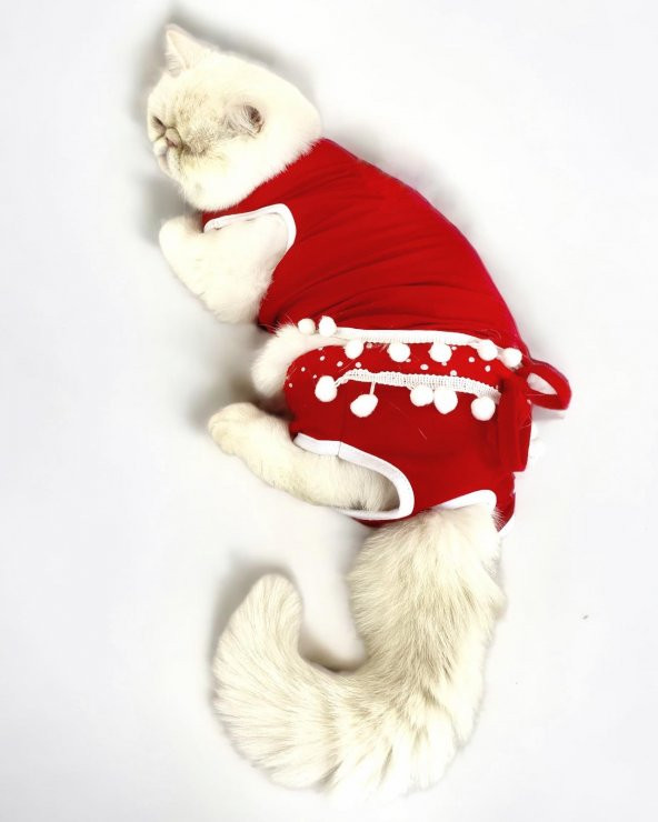 Frilly Pop Tişört ve İç Çamaşırı Set Kedi Kıyafeti Kedi Kostümü