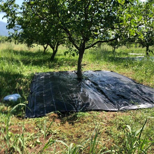 ZEYTİN TIRMIĞI + ZEYTİN DİLME APARATI + FIRÇA SAPI + 5x10 ZEYTİN SERGENİ JÜT ZEYTİN TOPLAMA TARAĞI TABAN ÖRTÜSÜ ZEYTİN ÇİZME ALETİ - 2