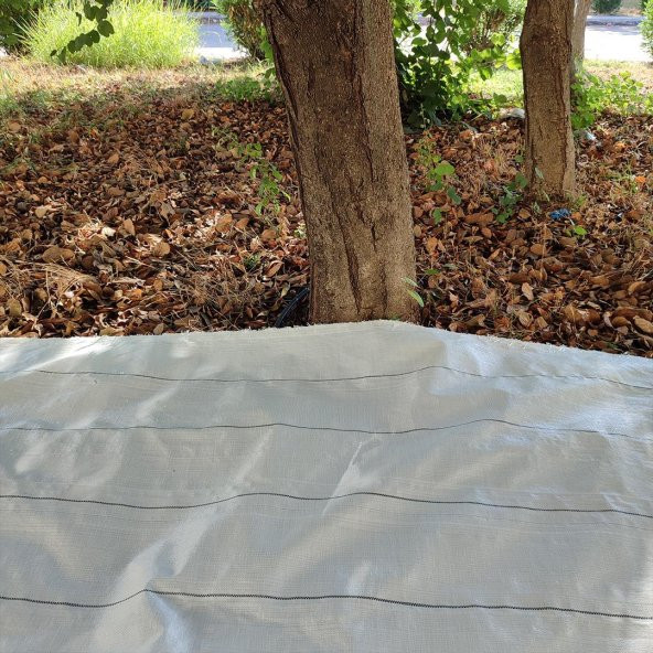 5X12 METRE ZEYTİN SERGENİ ZEYTİN TOPLAMA ÖRTÜSÜ FINDIK FISTIK DUT TOPLAMA FİLESİ BEYAZ HASAT TABAN ÖRTÜSÜ - 3
