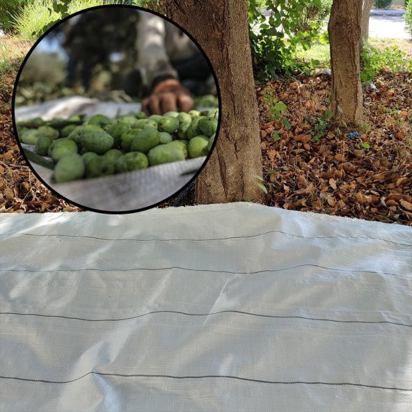 5X5 METRE ZEYTİN SERGENİ ZEYTİN TOPLAMA ÖRTÜSÜ FINDIK FISTIK DUT TOPLAMA FİLESİ BEYAZ HASAT TABAN ÖRTÜSÜ