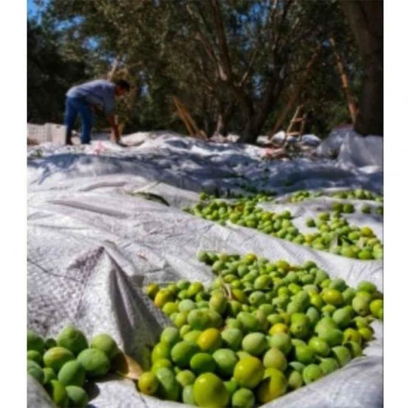 5X6 METRE ZEYTİN SERGENİ ZEYTİN TOPLAMA ÖRTÜSÜ FINDIK FISTIK DUT TOPLAMA FİLESİ BEYAZ HASAT TABAN ÖRTÜSÜ - Resim 5