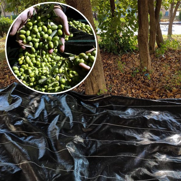 5X5 METRE ZEYTİN SERGENİ ZEYTİN TOPLAMA ÖRTÜSÜ FINDIK FISTIK DUT TOPLAMA FİLESİ HASAT TABAN ÖRTÜSÜ