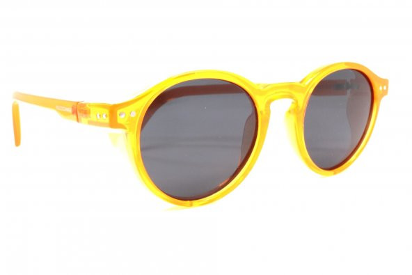 1026 C134 48 Polo Exchange Polarize Güneş Gözlüğü - Resim 2