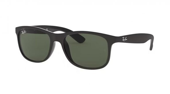 Ray-Ban 0RB4202 60697155  Enjeksiyon Erkek Güneş Gözlüğü