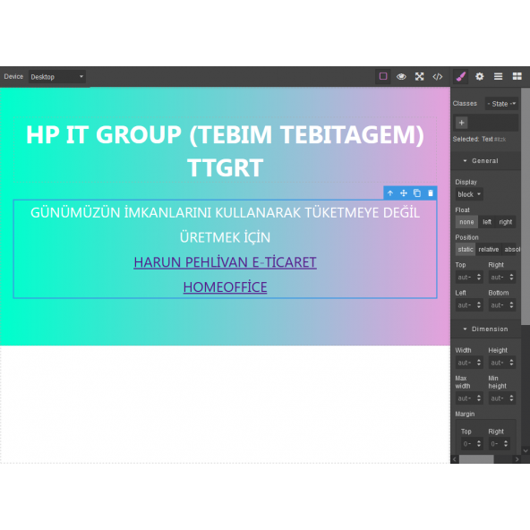 WEB EDİTÖR - 2