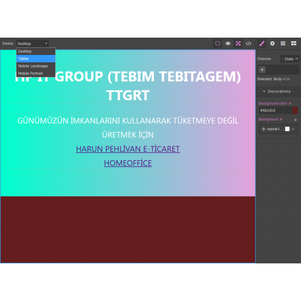 WEB EDİTÖR - 5
