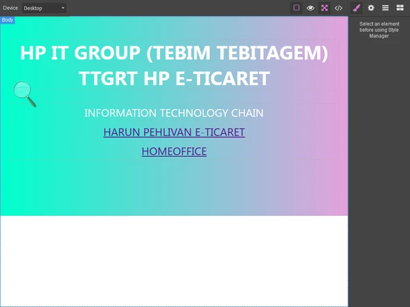 WEB EDİTÖR - 1
