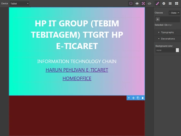 WEB EDİTÖR - 4
