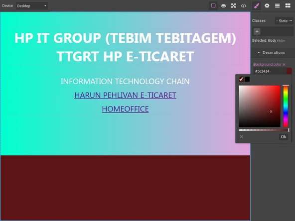 WEB EDİTÖR - 3