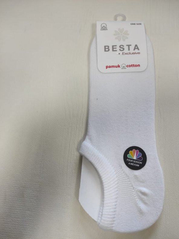 ERKEK PAMUK COTTON ÇORAP - 2