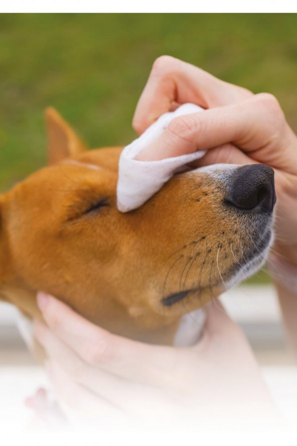 Supreme Köpek Hipoalerjenik Temizleme Mendili - 3