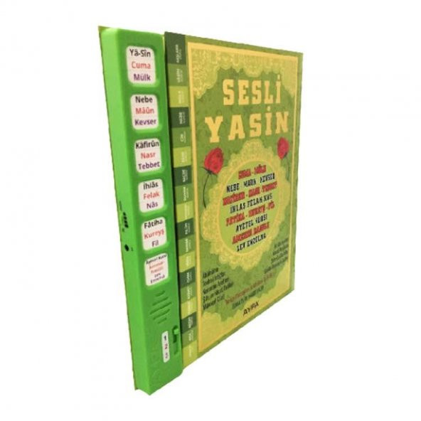 Sesli Yasin - Kulaklık Girişli , Ses Ayarlı ve Mealli Yasin-i Şerif - Yeşil