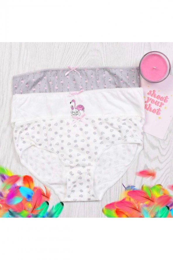 Kız Çocuk Desenli 3Lü Külot ürün görseli