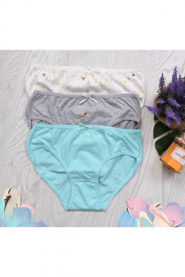 Kız Çocuk Desenli 3Lü Külot ürün görseli