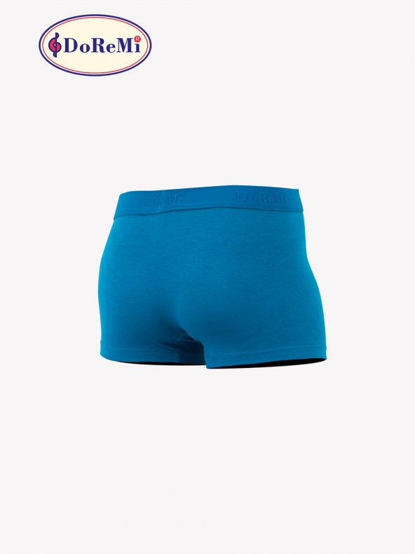 Erkek Boxer - Resim 3