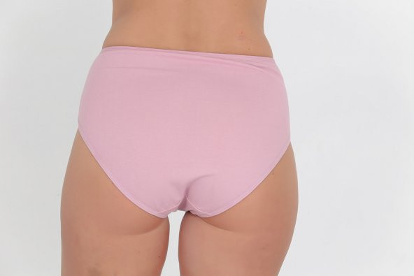 Dantel Detaylı Günlük Kadın Külot Gül Kurusu - Resim 3