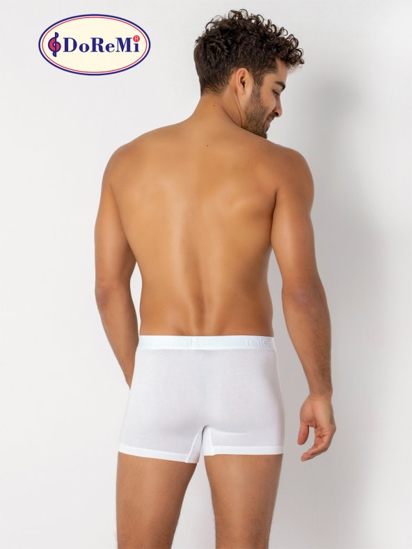 Arthur Cotton Erkek Boxer - Resim 2