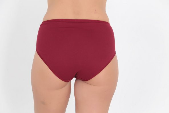 Ön Kısmı Desenli Kadın Günlük Külot Bordo - Resim 3